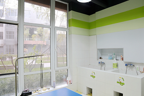 圣宠宠物通州土桥自由筑店