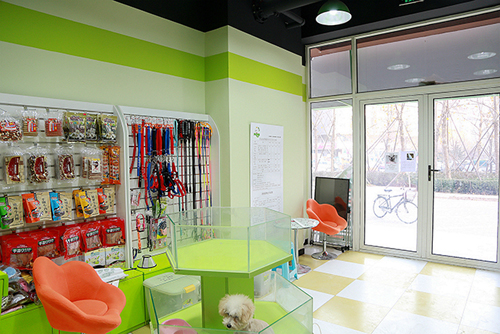 圣宠宠物通州土桥自由筑店