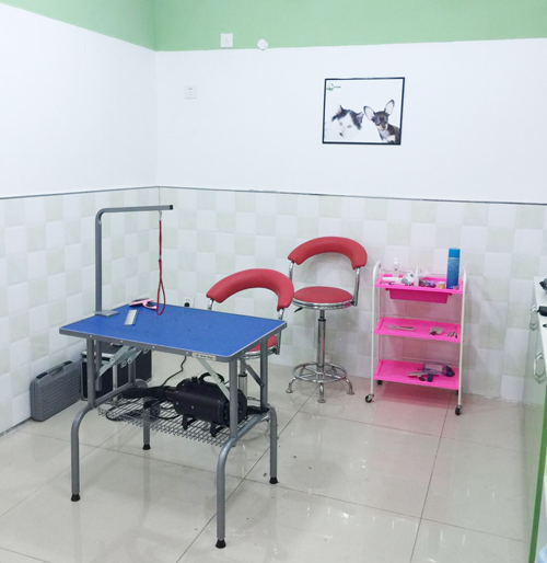 圣宠宠物重庆奥体中心店