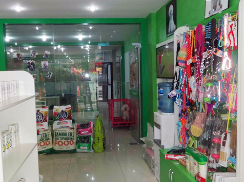 圣宠宠物重庆奥体中心店