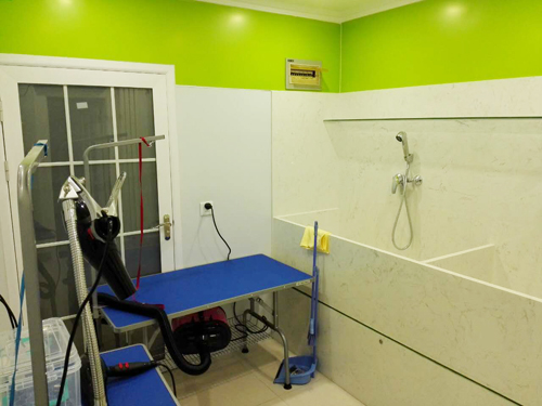 圣宠宠物北京海淀交大东路店