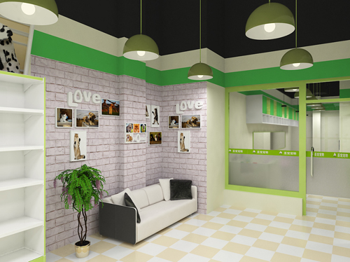 圣宠宠物重庆巴南花溪店