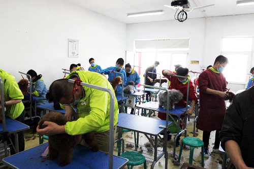 35期美容实操课-主讲导师黄伟