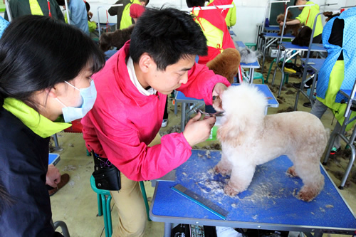35期美容实操课-主讲导师黄伟