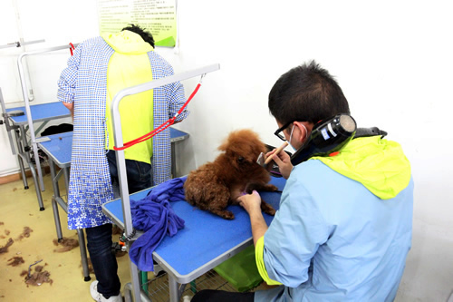 35期美容实操课-主讲导师黄伟