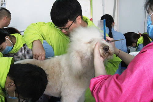 35期综合美容班修剪综合实操课