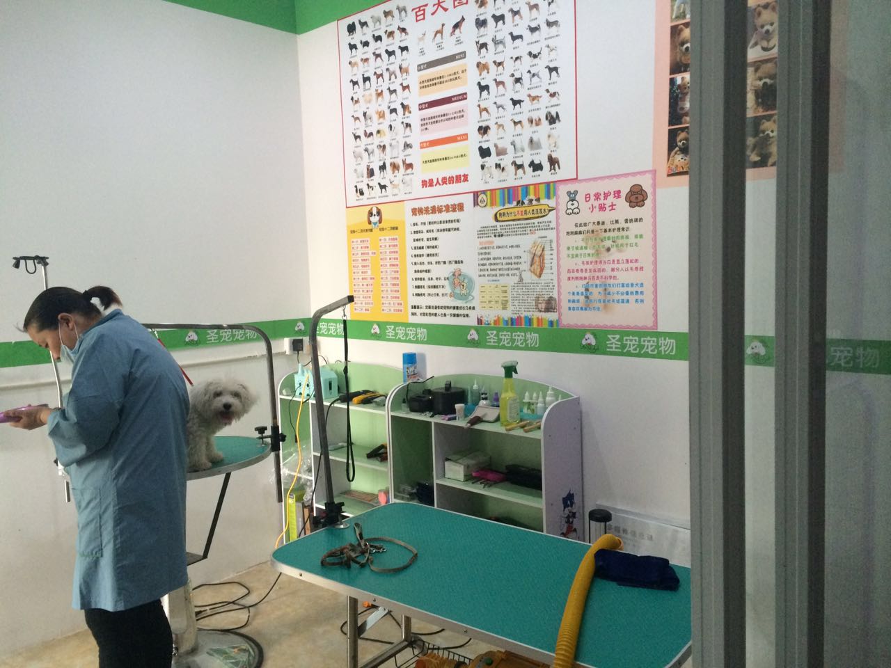 圣宠宠物店(南通裕景苑店)