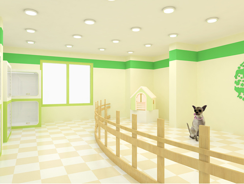 圣宠宠物银川观湖一号店