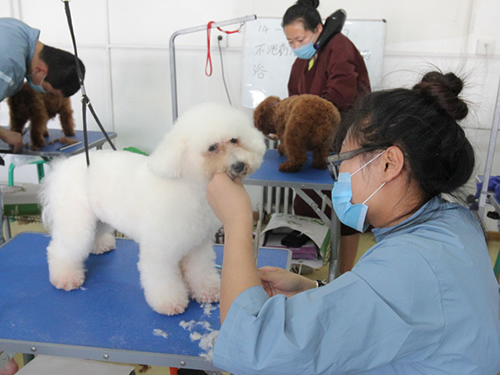圣宠38期美容班综合实操课