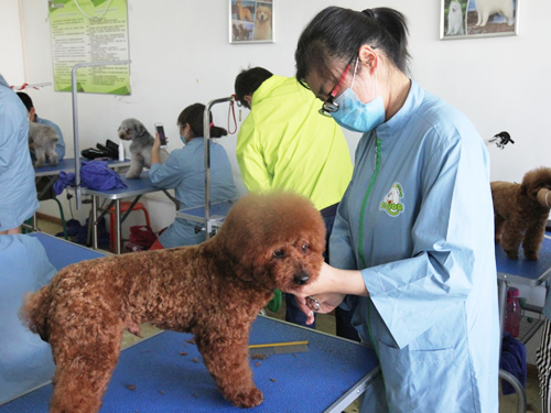 圣宠38期美容班综合实操课