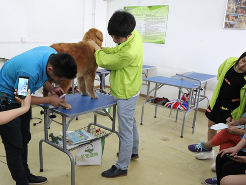 男孩初中毕业学什么好就业