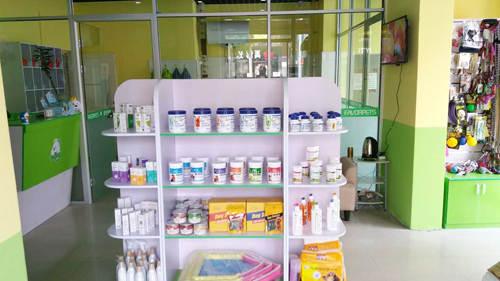 圣宠宠物沈阳铁西爱工北街店