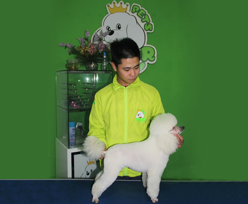 我的人生由我做主-宠物美容16期陈亚强