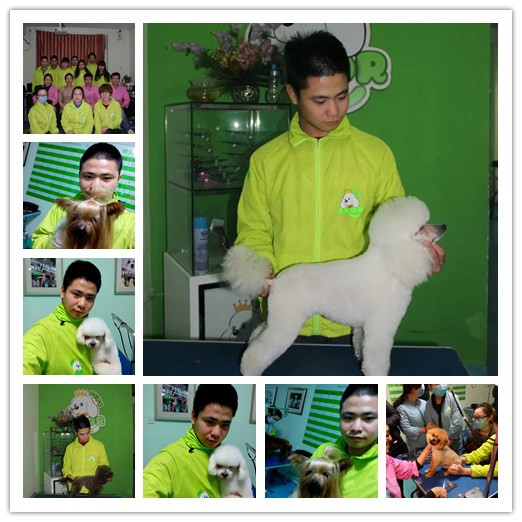 我的人生由我做主-宠物美容16期陈亚强