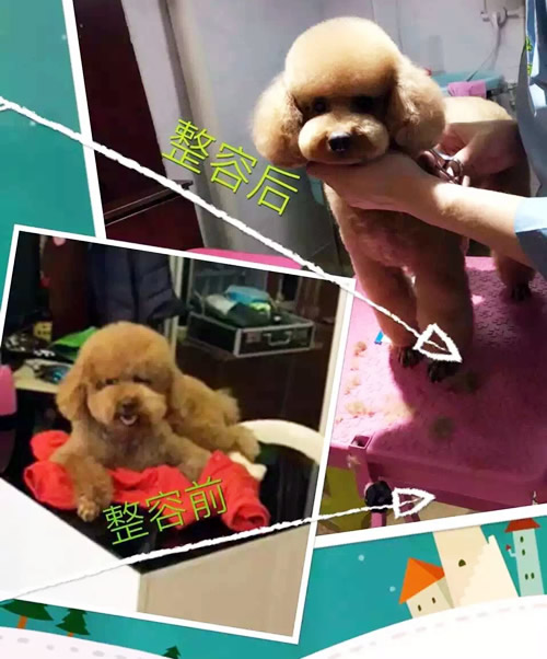 只要有信心,人永远不会挫败-32期美容班宋杨