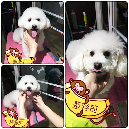 只要有信心,人永远不会挫败-32期美容班宋杨