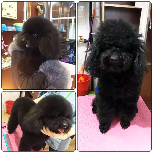 只要有信心,人永远不会挫败-32期美容班宋杨