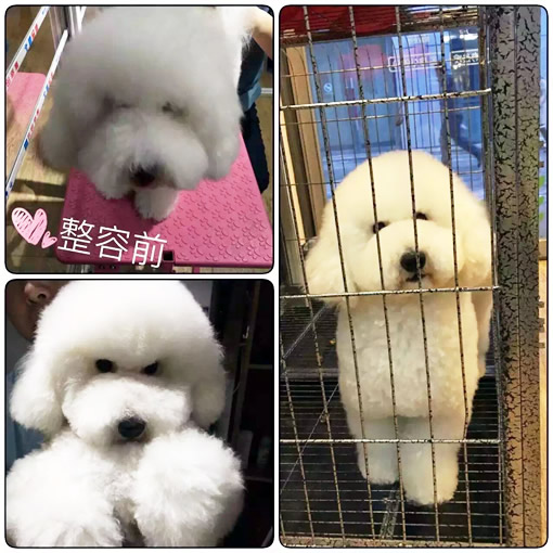 只要有信心,人永远不会挫败-32期美容班宋杨