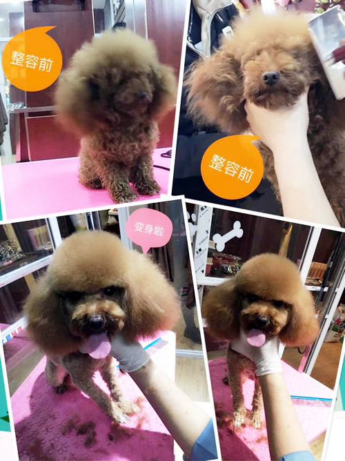 只要有信心,人永远不会挫败-32期美容班宋杨