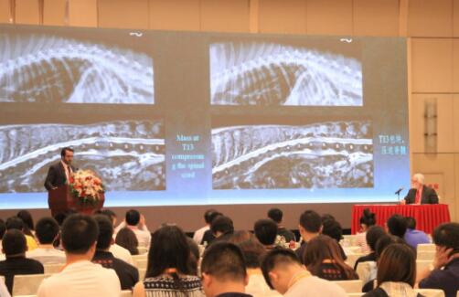 首届国际小动物医师大会已开幕,聚焦行业国际交流