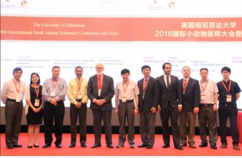 图说现场,解读数据背后的MSAVC 2016