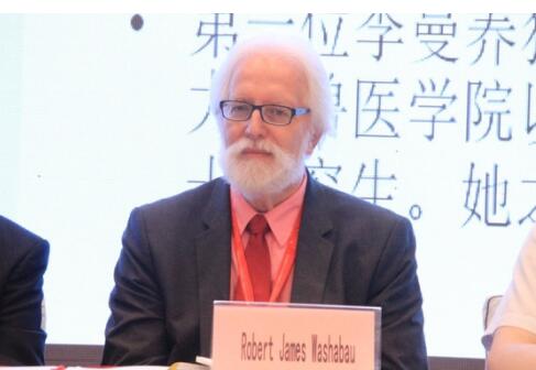 图说现场,解读数据背后的MSAVC 2016