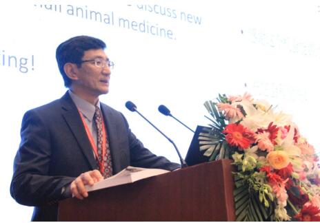 图说现场,解读数据背后的MSAVC 2016