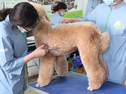 ʥ���������ѧУ�޹�ʵ��