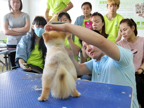 38�����ݰ಩��Ȯ�޼�