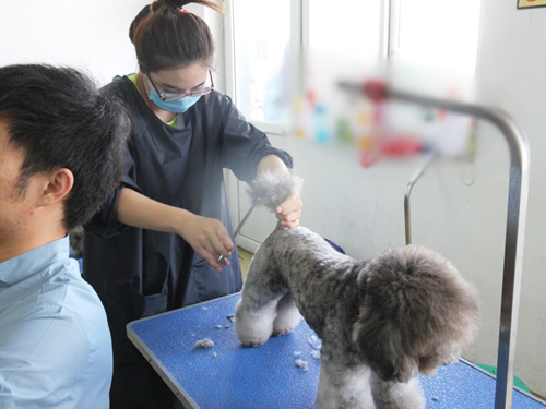 ʥ��38�����ݰ��ۺ�ʵ�ٿ�