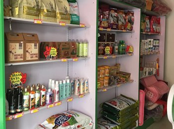 宠物店加盟都是需要什么需求