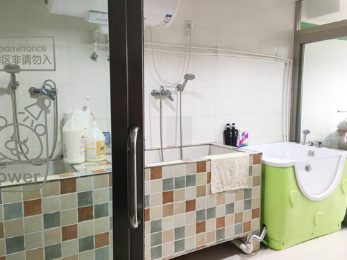 圣宠宠物大同永康御花园店