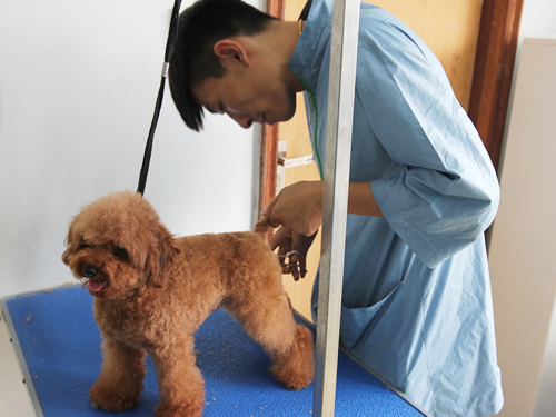 圣宠43期美容班综合实操课