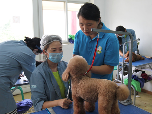 圣宠43期美容班综合实操课