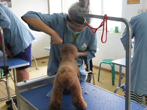 圣宠43期美容班综合实操课