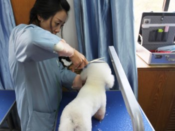 46�����ݰ�ʵ�ٿ���