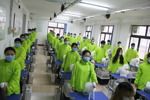 圣宠美容班美容剪刀的使用和修剪技巧课