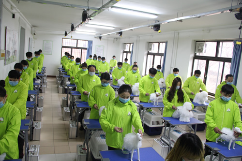 圣宠美容班美容剪刀的使用和修剪技巧课