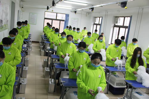 圣宠美容班美容剪刀的使用和修剪技巧课