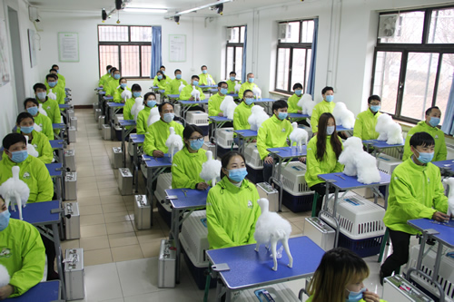 圣宠美容班美容剪刀的使用和修剪技巧课