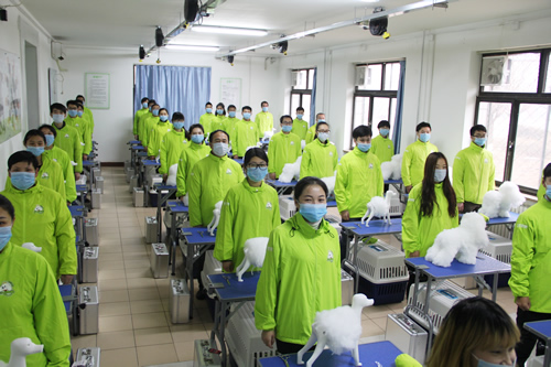 圣宠美容班美容剪刀的使用和修剪技巧课