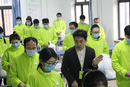 美容课双Ａ宠物美容老师手把手指导