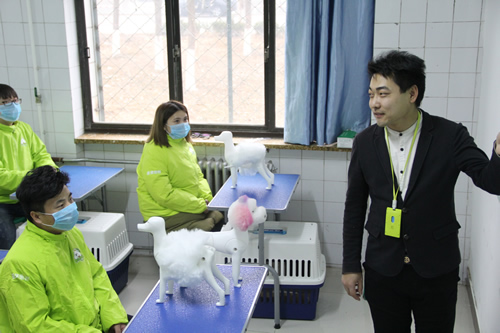 犬只结构及修剪技巧－宠物美容理论课