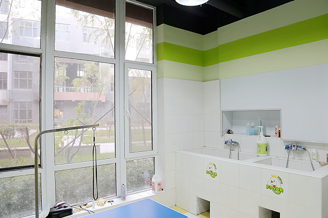 ��������Ʒ����Ҫʲô����