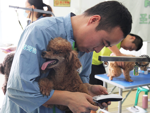 ���ҳ���ҽԺ�������