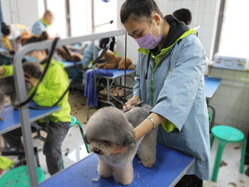 ��������ҽԺ��Ҫʲô