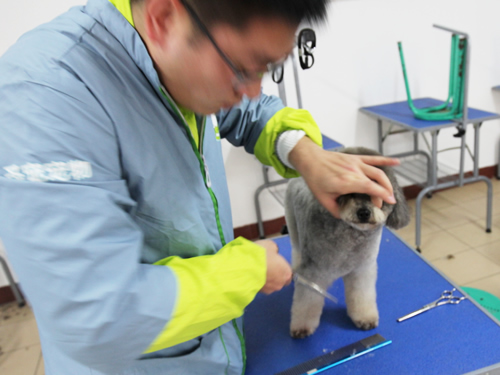 ��������ҽԺ��Ҫʲô