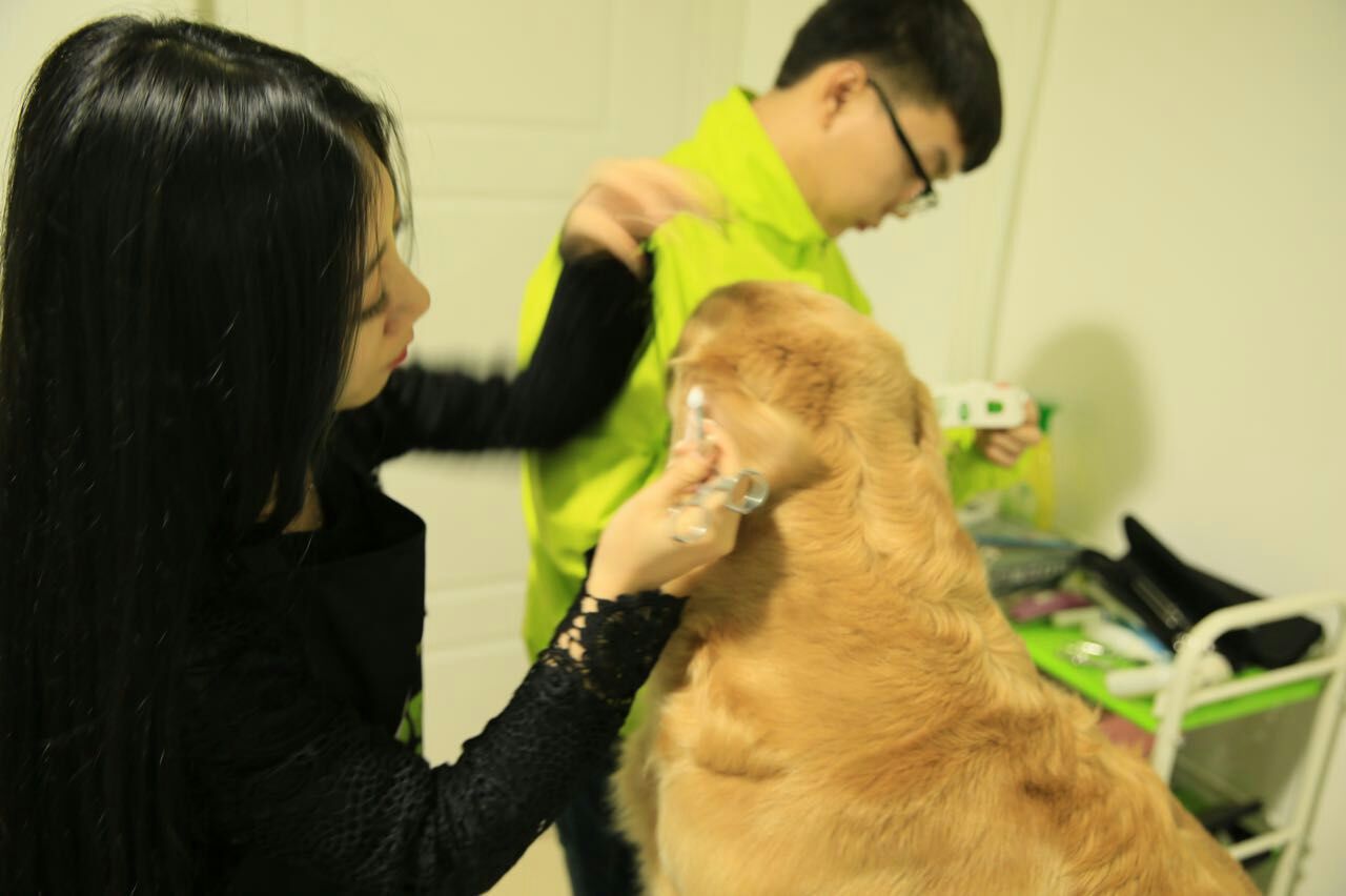 ���ҳ���ҽԺ��Ҫʲô����