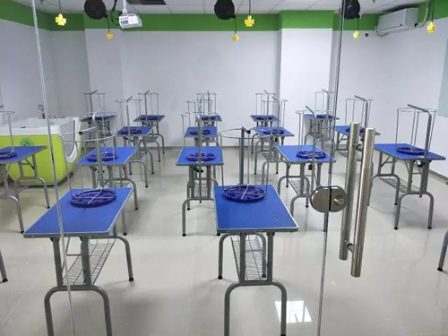 [ϲѶ]ʥ賣ݵһݰ࿪