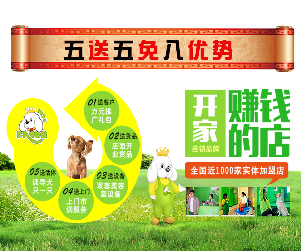 圣宠“5免5送8优势”活动开启倒计时送优惠!